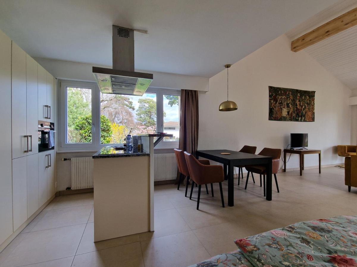 Apartmán Le Debarcadere Saint Sulpice  Exteriér fotografie